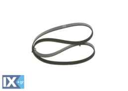 BOSCH  Ιμάντας poly-V  1987945713 12634321 5010477334 55556404 9091602165 9091602402 9091602403 9091642370 FP0115907 FP0115907A9F FP0415907 FP0415907A 11287507626 11287636374 24426540 24466975 4810711