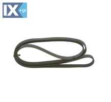 ΙΜΑΝΤΑΣ Poly-v RENAULT  1987946045 0119979292 0139971592 0149973392 A0119979292 A0139971592 A0149973392 93363909 7700111671 73502713 252122A132