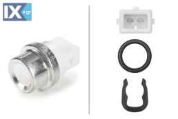 ΑΙΣΘΗΤΗΡΑΣ ΘΕΡΜΟΚΡΑΣΙΑΣ  6PT009107601 9109661 M809548 4401661 9109661 7700865290 30809548