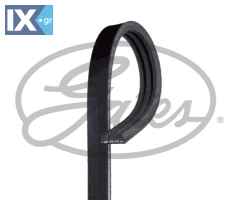 GATES ΙΜΑΝΤΑΣ POLY-V  3PK790SF P30115908 P54G15908
