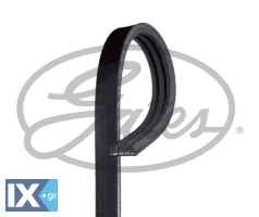 GATES ΙΜΑΝΤΑΣ POLY-V  3PK881SF 1340A125