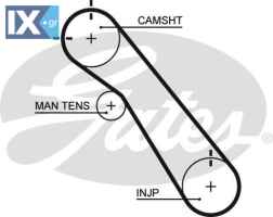 5548XS 1356817030 1356819195