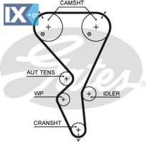 Ιμάντας χρονισμού  5615XS 0816G8 0816H5 96468644 9646864480 0816G8 0816H5 96468644 9646864480