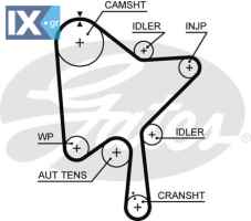GATES ΙΜΑΝΤΑΣ ΧΡΟΝΙΣΜΟΥ VOLVO  5686XS 31316579