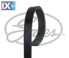 GATES ΙΜΑΝΤΑΣ POLY-V VOLVO  5PK1123XS 30757514 31258381 31330870 31330897