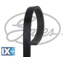 GATES ΙΜΑΝΤΑΣ POLY-V  5PK855 1172097E10 MB917986 31110RB0G00 31110RB0G01 31316998