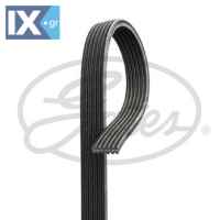 GATES ΙΜΑΝΤΑΣ POLY-V  6DPK2280 1682201 1693597 1715777 AG9E6C301AA AG9E6C301DA 31258319 31316546 31330380