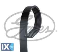 GATES ΙΜΑΝΤΑΣ POLY-V  6PK1218XS 90916W2037 117202503R 16123516 1612351680 117202503R 16123516 1612351680