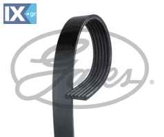GATES ΙΜΑΝΤΑΣ POLY-V  6PK798 3641684 9804491580 SU001A4949 1752169K00 3641684 9804491580 98044915 9804491580