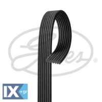 GATES ΙΜΑΝΤΑΣ POLY-V  7DPK2884 7PP903137 95510225100