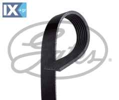 GATES ΙΜΑΝΤΑΣ POLY-V  7PK1240 117205453R 2819932096 A2819932096 117205453R