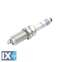 0242245585 12686362 99917023390