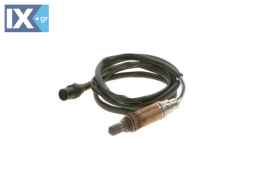 0258003037 25172605 11781714873