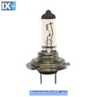 Λάμπα Αυτοκινήτου Trifa Αλογόνου 1617 H7 24V 70W